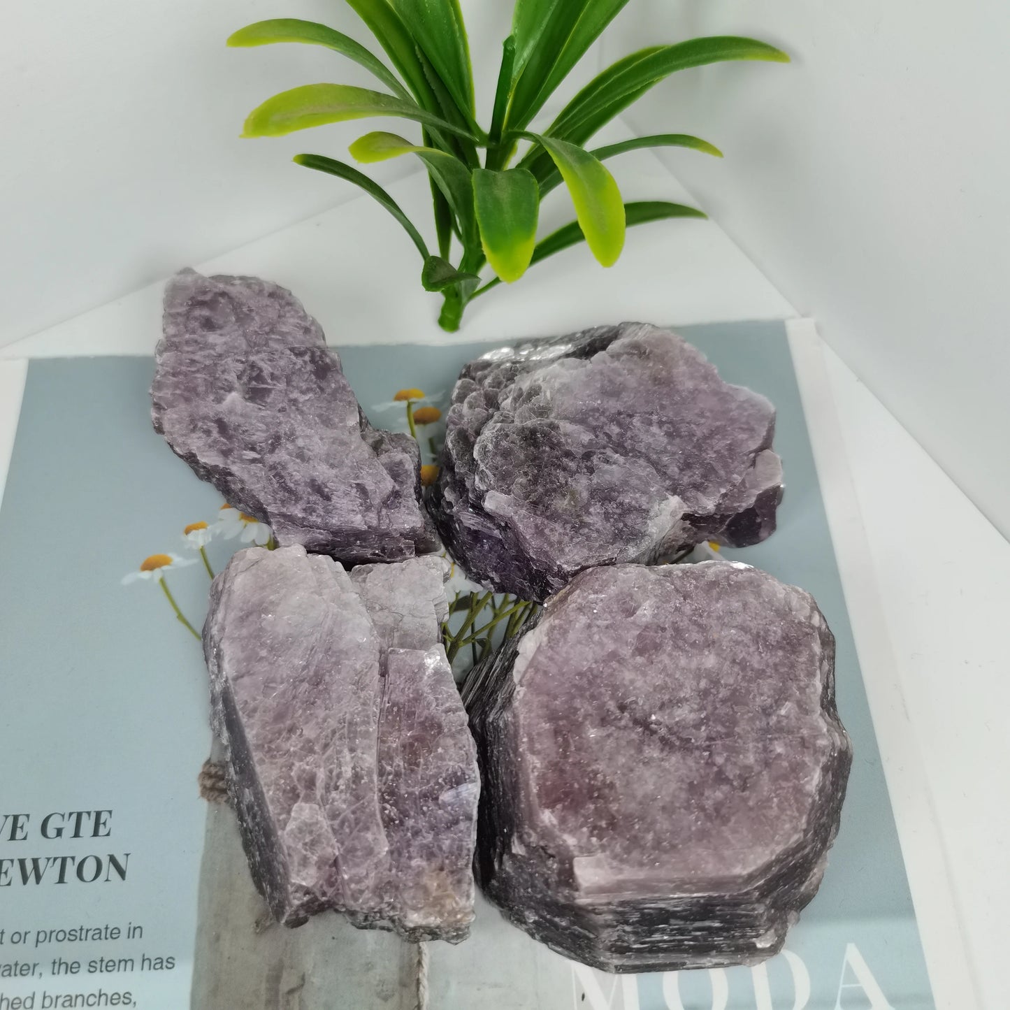 1 peça de fatia de cristal de lepidolita natural, pedras de rocha mãe ziyun ásperas, espécime luminoso, mica roxa para decoração