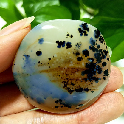 Natural Stone Waterplant Sea Agate Palm Stone Spiritual Meditation Energy Yoga Cure Feng Shui Crystal Ornament