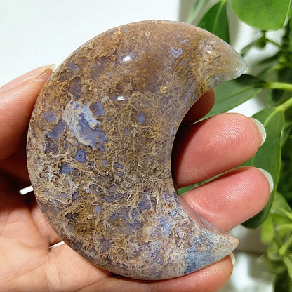 Natural Ocean Jasper Sea Gem Moon Sorcerer Exorcism Meditation Energy Exorcise evil spir Cures Crystal Home Feng Shui Decoration