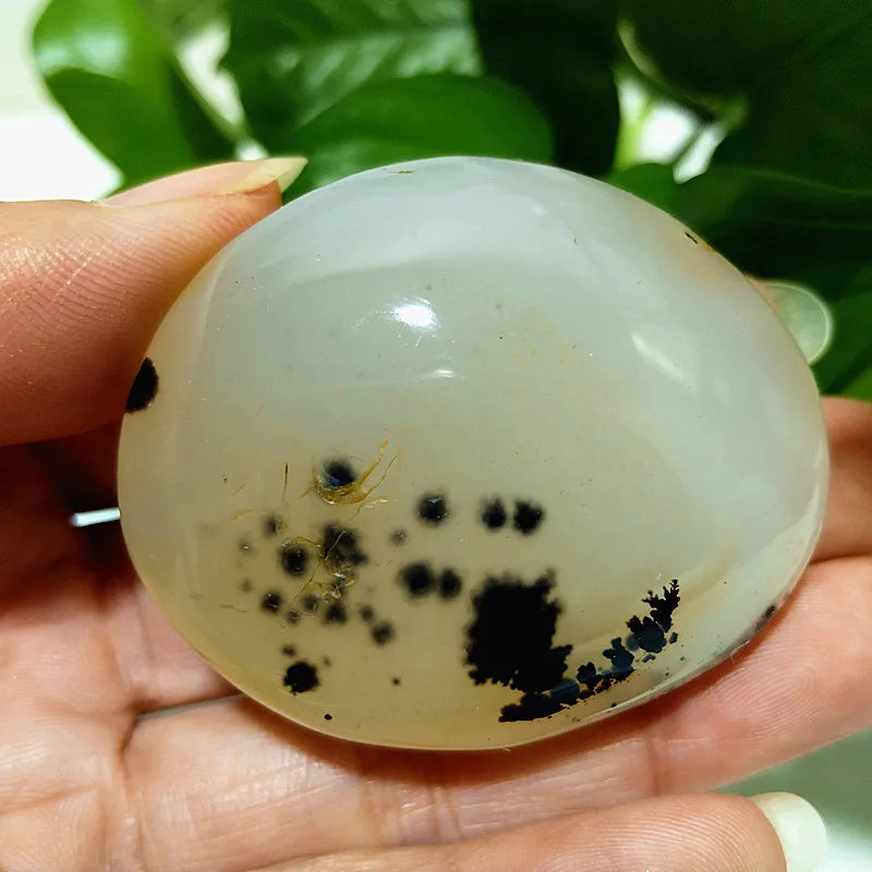 Natural Stone Waterplant Sea Agate Palm Stone Spiritual Meditation Energy Yoga Cure Feng Shui Crystal Ornament