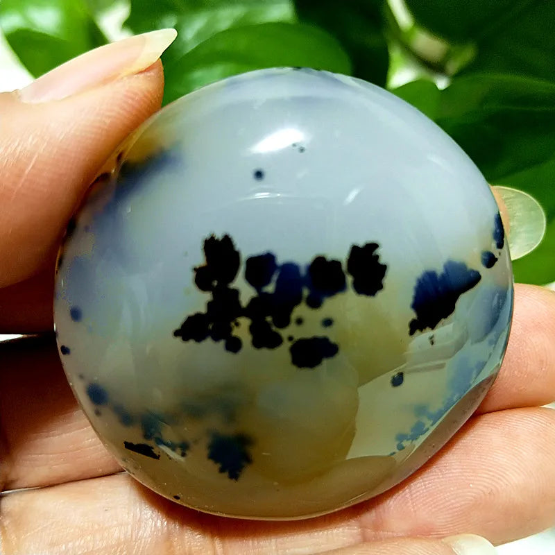 Natural Stone Waterplant Sea Agate Palm Stone Spiritual Meditation Energy Yoga Cure Feng Shui Crystal Ornament