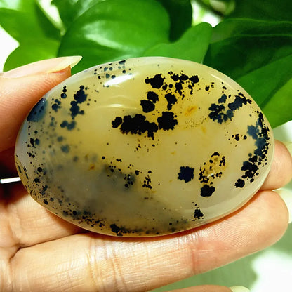 Natural Stone Waterplant Sea Agate Palm Stone Spiritual Meditation Energy Yoga Cure Feng Shui Crystal Ornament