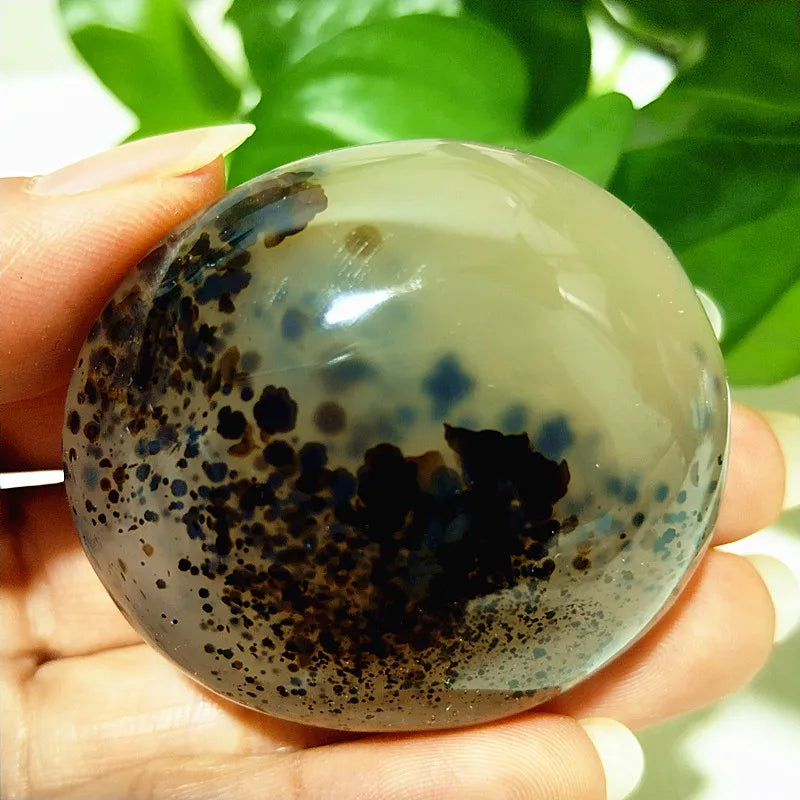 Natural Stone Waterplant Sea Agate Palm Stone Spiritual Meditation Energy Yoga Cure Feng Shui Crystal Ornament