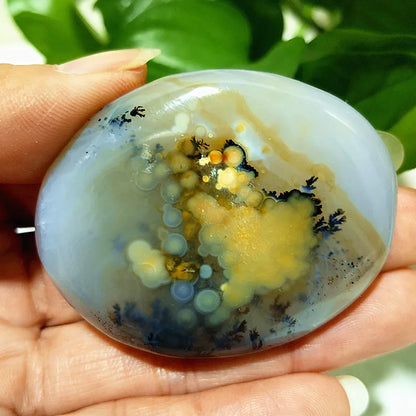 Natural Stone Waterplant Sea Agate Palm Stone Spiritual Meditation Energy Yoga Cure Feng Shui Crystal Ornament