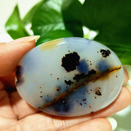 Natural Stone Waterplant Sea Agate Palm Stone Spiritual Meditation Energy Yoga Cure Feng Shui Crystal Ornament