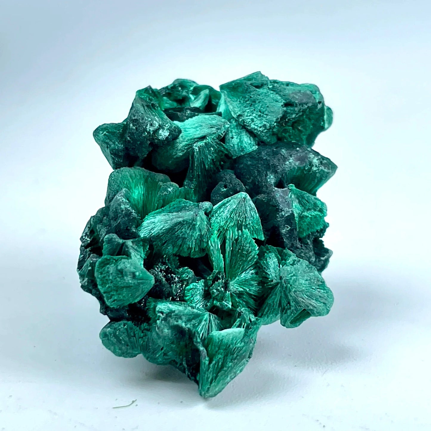 1PC/100gram Natural Velvet Malachite Raw Specimen, Mineral Collection, Precious Crystal Malachite Cluster