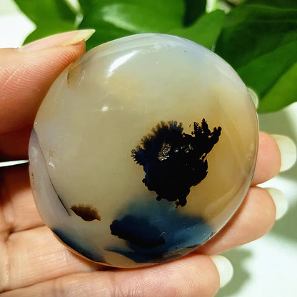 Natural Stone Waterplant Sea Agate Palm Stone Spiritual Meditation Energy Yoga Cure Feng Shui Crystal Ornament