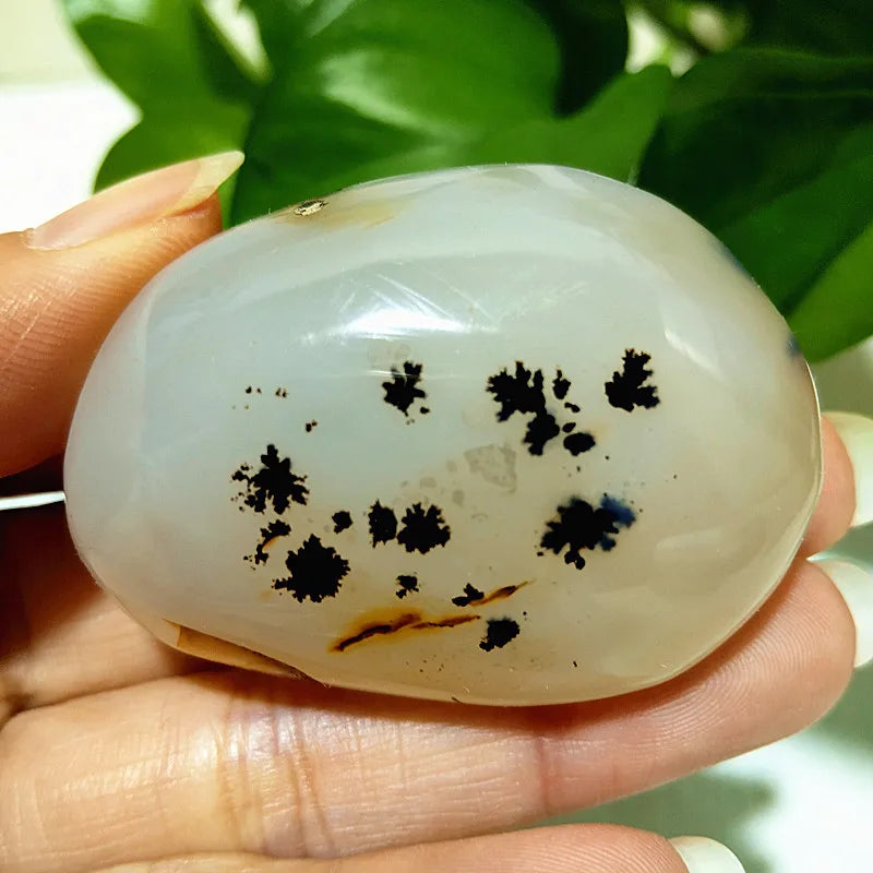 Natural Stone Waterplant Sea Agate Palm Stone Spiritual Meditation Energy Yoga Cure Feng Shui Crystal Ornament