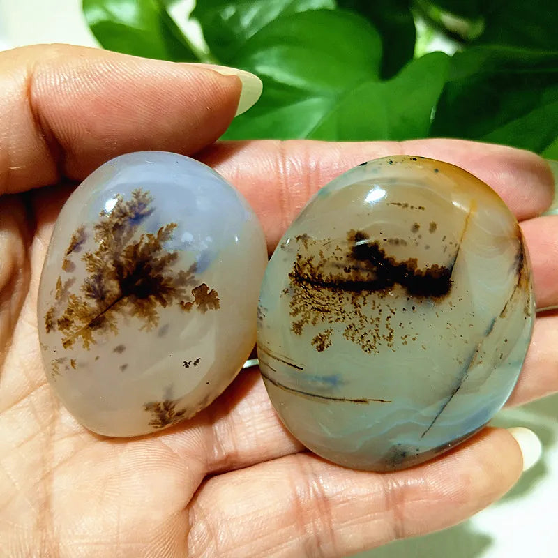 Natural Stone Waterplant Sea Agate Palm Stone Spiritual Meditation Energy Yoga Cure Feng Shui Crystal Ornament