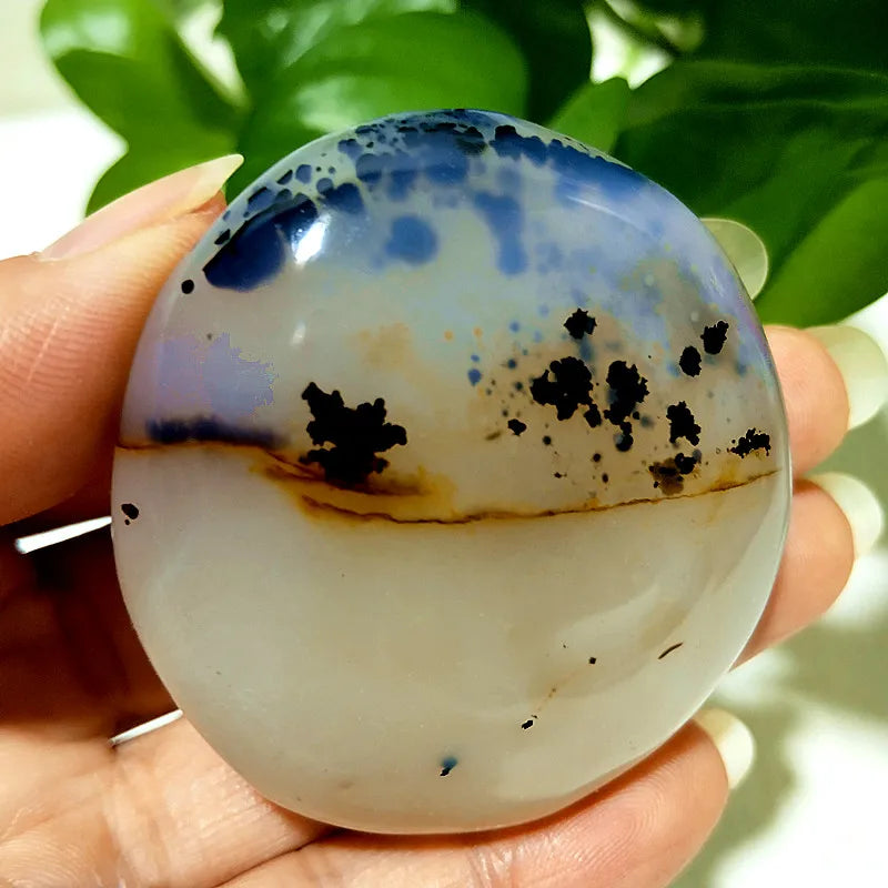 Natural Stone Waterplant Sea Agate Palm Stone Spiritual Meditation Energy Yoga Cure Feng Shui Crystal Ornament