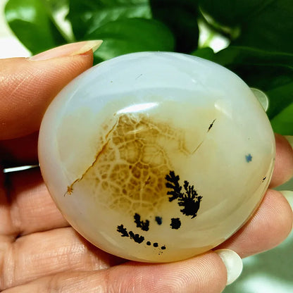 Natural Stone Waterplant Sea Agate Palm Stone Spiritual Meditation Energy Yoga Cure Feng Shui Crystal Ornament