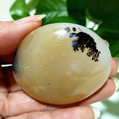 Natural Stone Waterplant Sea Agate Palm Stone Spiritual Meditation Energy Yoga Cure Feng Shui Crystal Ornament