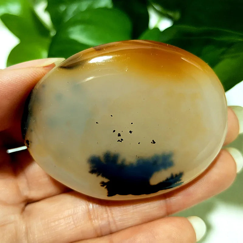 Natural Stone Waterplant Sea Agate Palm Stone Spiritual Meditation Energy Yoga Cure Feng Shui Crystal Ornament