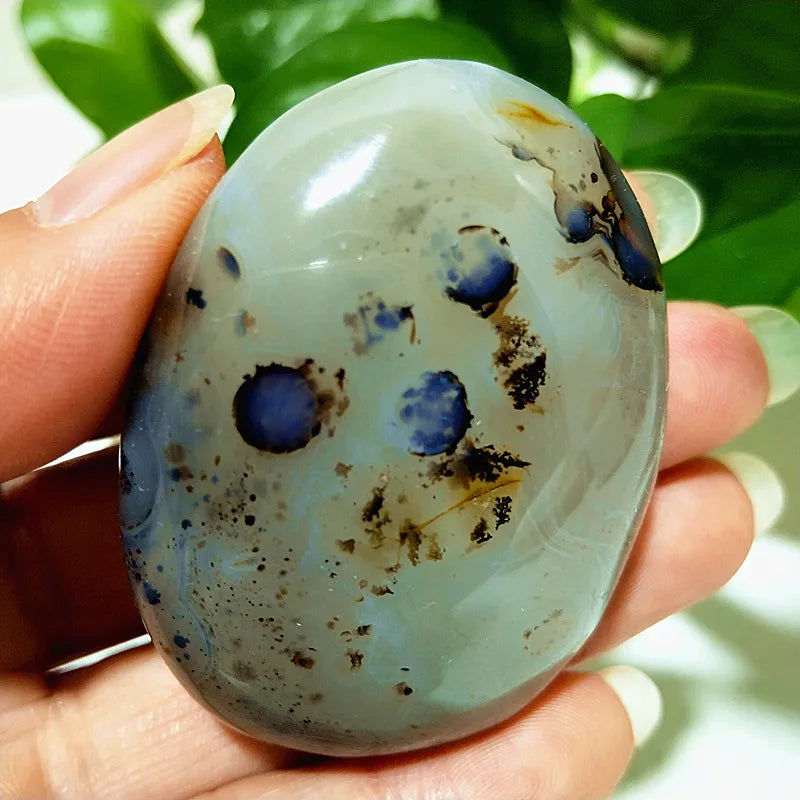 Natural Stone Waterplant Sea Agate Palm Stone Spiritual Meditation Energy Yoga Cure Feng Shui Crystal Ornament