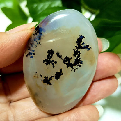 Natural Stone Waterplant Sea Agate Palm Stone Spiritual Meditation Energy Yoga Cure Feng Shui Crystal Ornament