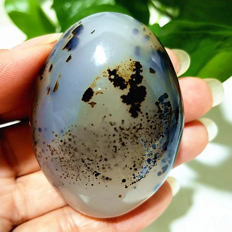 Natural Stone Waterplant Sea Agate Palm Stone Spiritual Meditation Energy Yoga Cure Feng Shui Crystal Ornament