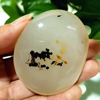 Natural Stone Waterplant Sea Agate Palm Stone Spiritual Meditation Energy Yoga Cure Feng Shui Crystal Ornament